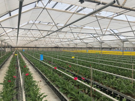 Greenhouse Curtain Systems: FAQs