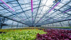 led top lights in a nursery