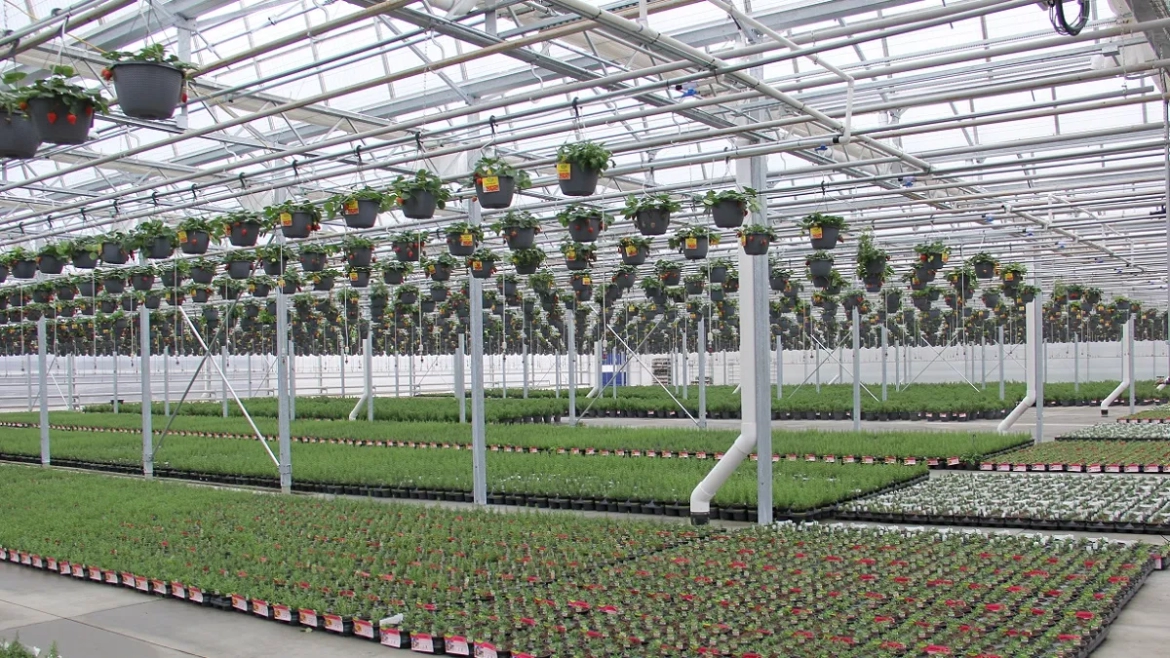 Customer: Bonnie Plants Expands eCommerce Efforts with Innovative Alabama Greenhouse Space